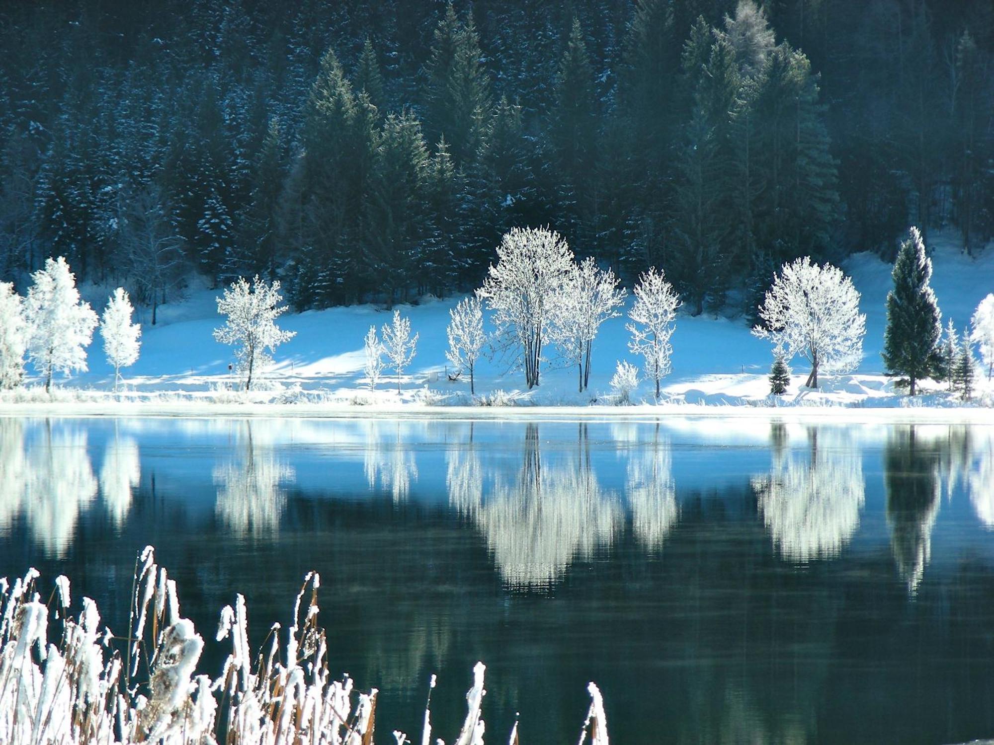 Haus Heimat Lägenhet Weissensee Exteriör bild